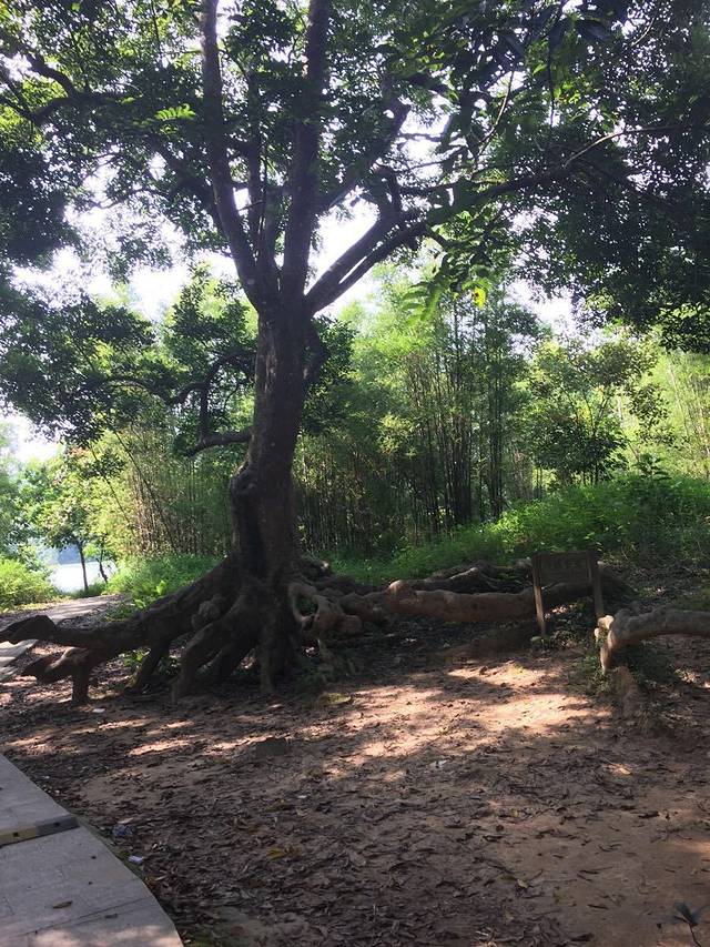 东莞市袁崇焕纪念园