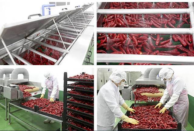 宁越农业合作社