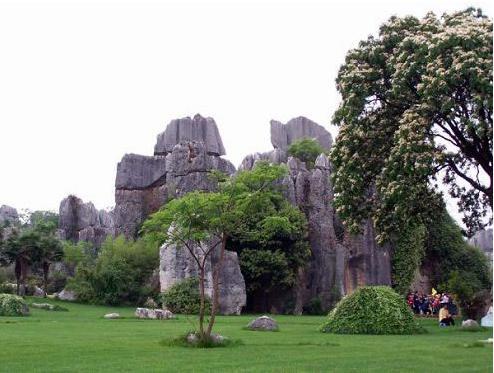 金佛山生态石林