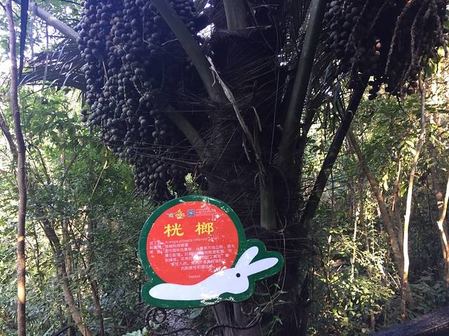 中央人民广播电台广播剧场