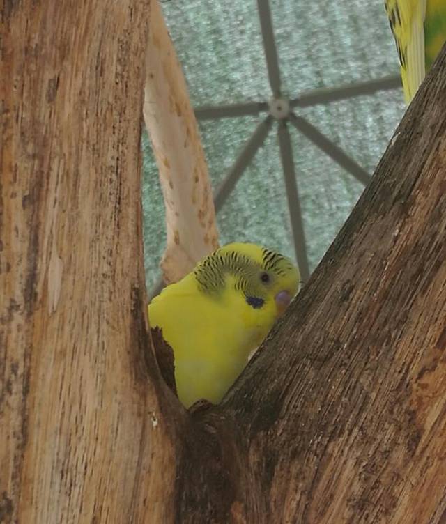 釜山儿童大公园