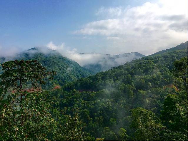 普洱太阳河国家森林公园