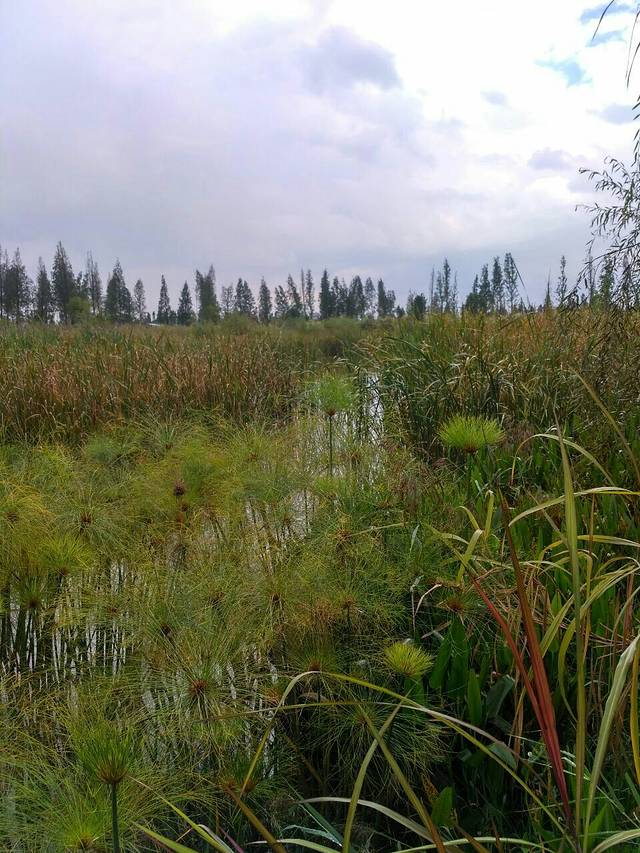 双流国家森林游乐区