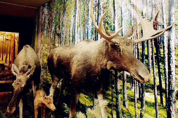 说说这次旅行图片