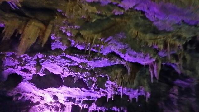 三江自然湿地保护区