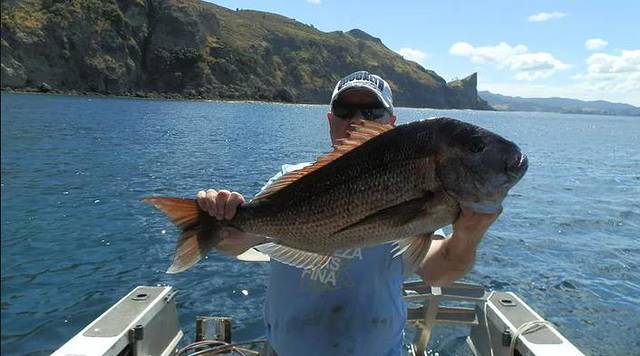 Freedom Fishing Charters