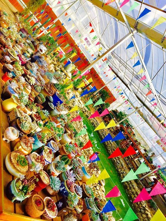 开心多肉植物园