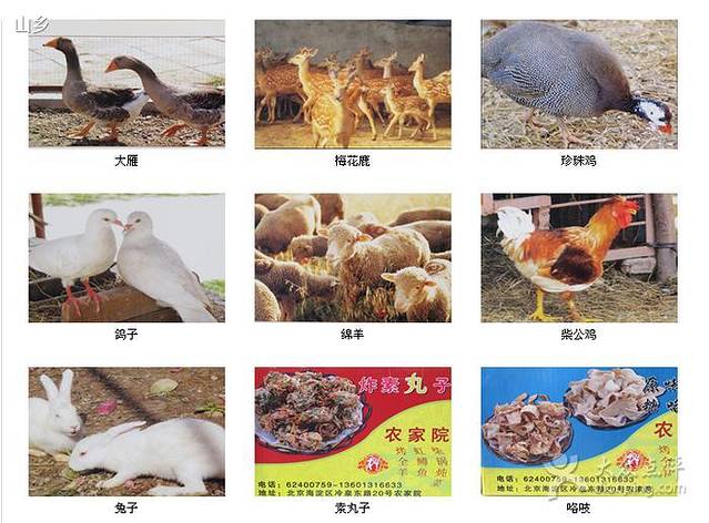 山乡农家院(海淀区西北旺店)