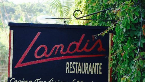 Landi's