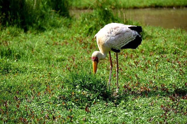 普洱国家公园犀牛坪景区