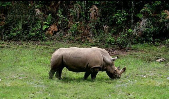 普洱太阳河国家森林公园