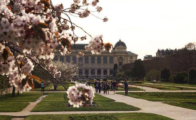 蒙彼利埃植物园