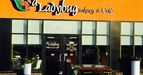 A Ladybug bakery and cafe