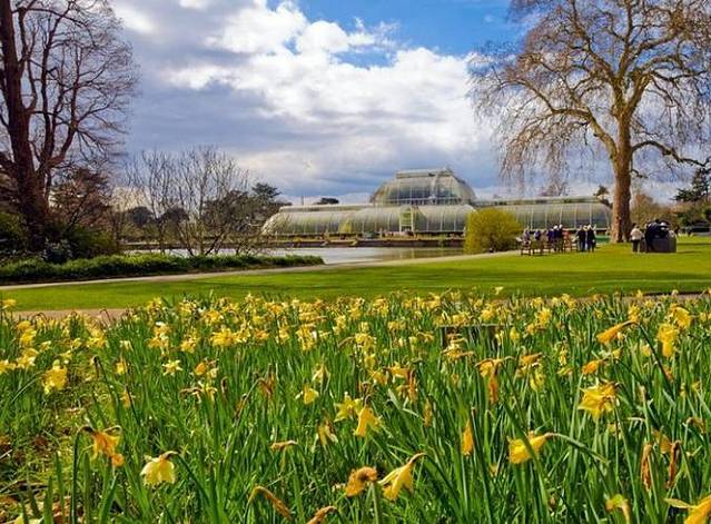 加拿大皇家植物园