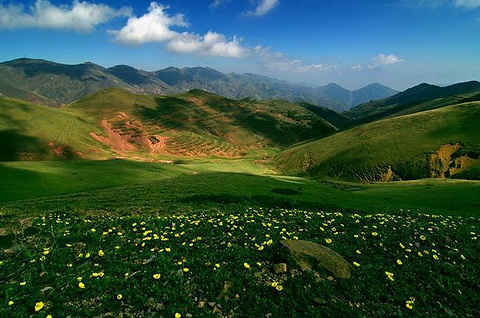大海草山
