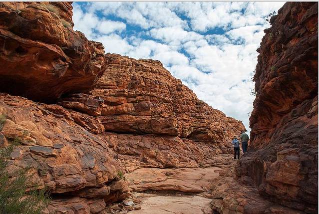 瓦塔卡国王峡谷国家公园