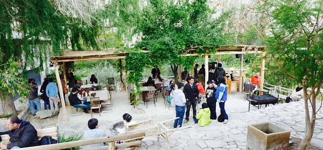 Restaurant Destileria Pisco Mistral