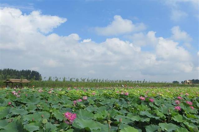 柳壕河湿地公园