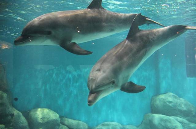 罗源湾海洋世界