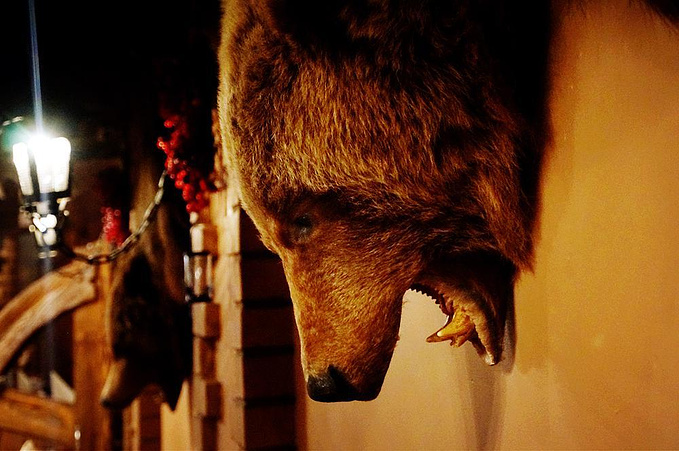 说说这次旅行图片