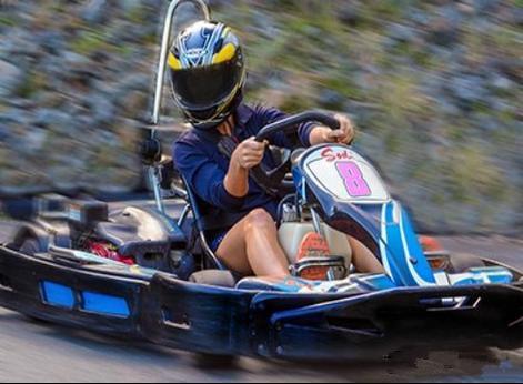 汉密尔顿岛卡丁车