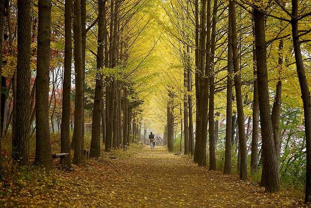 爱来魔相4D艺术馆(济州中文店)