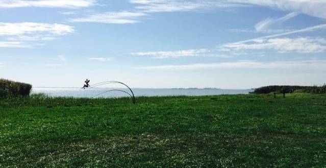 Restaurant u. Ferienpark Inselhof