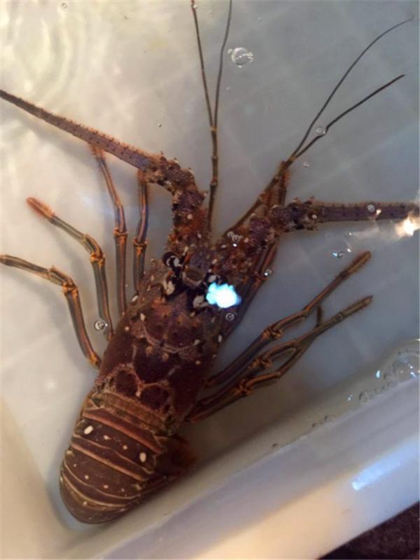 梦开始的地方-爱在三亚