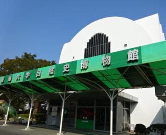 东海大学自然史博物馆