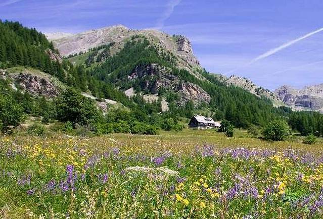 梅康图尔国家公园