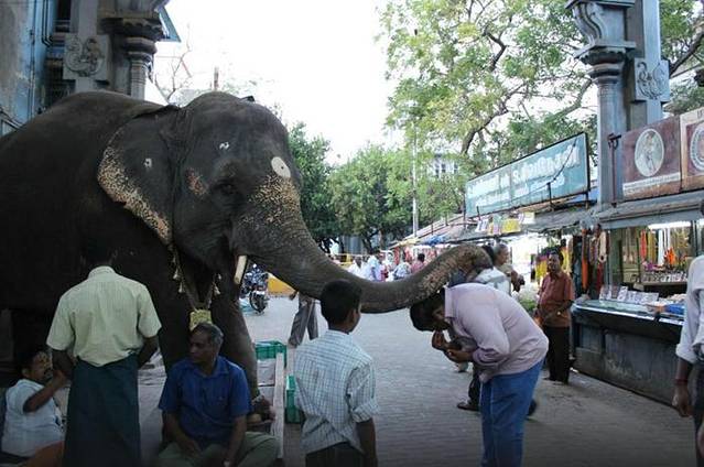 室利奥罗宾多静修所