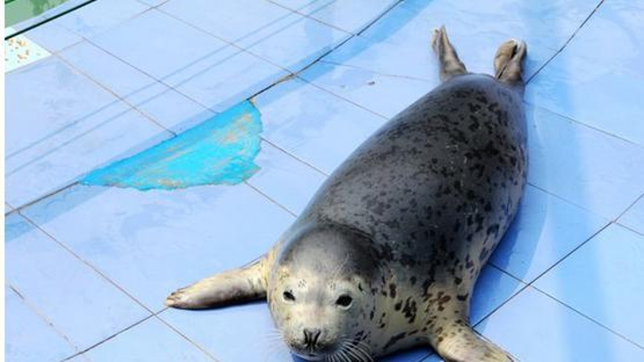 感谢水月洞天带给我们的美好享受,还有需要的朋友真的应该联系一下的