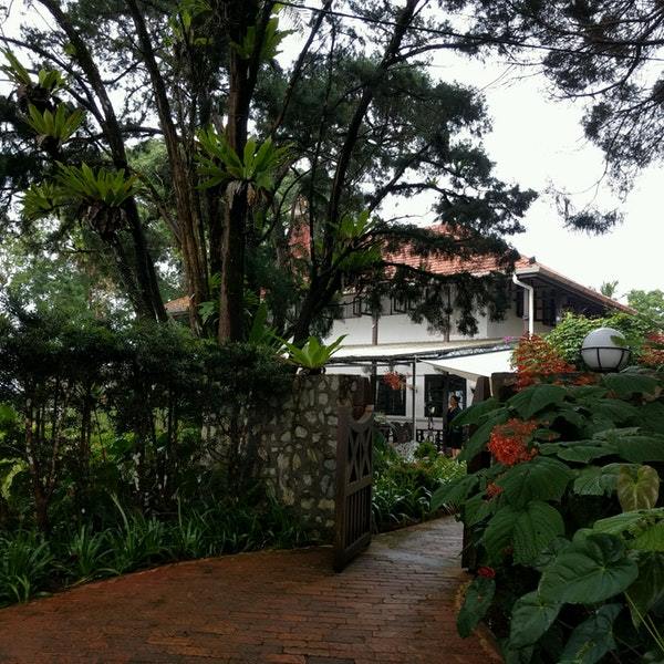 David Browns Restaurant and Tea Terraces