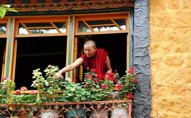 寂照庵,隐藏在大理山间的小资寺院!这几个尼姑庵,美得让你想出家!