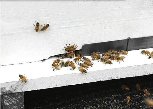 宁越农业合作社