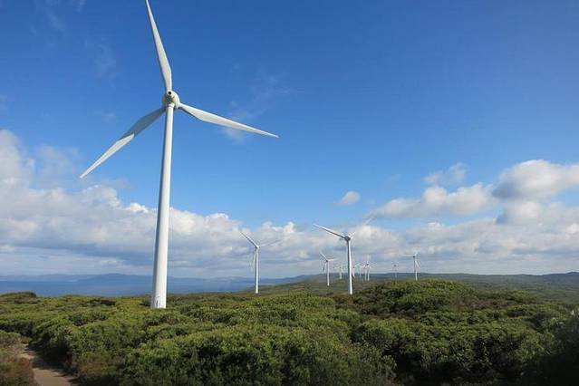 奥尔巴尼风力发电厂