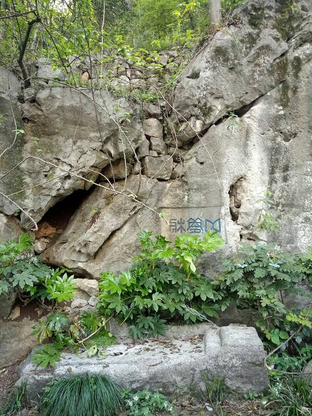 杭州西湖风景名胜区-灵华洞