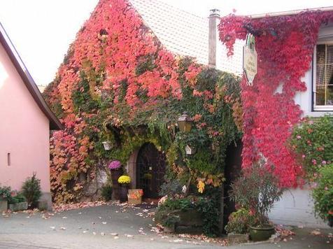 Caveau du Vieux Pressoir