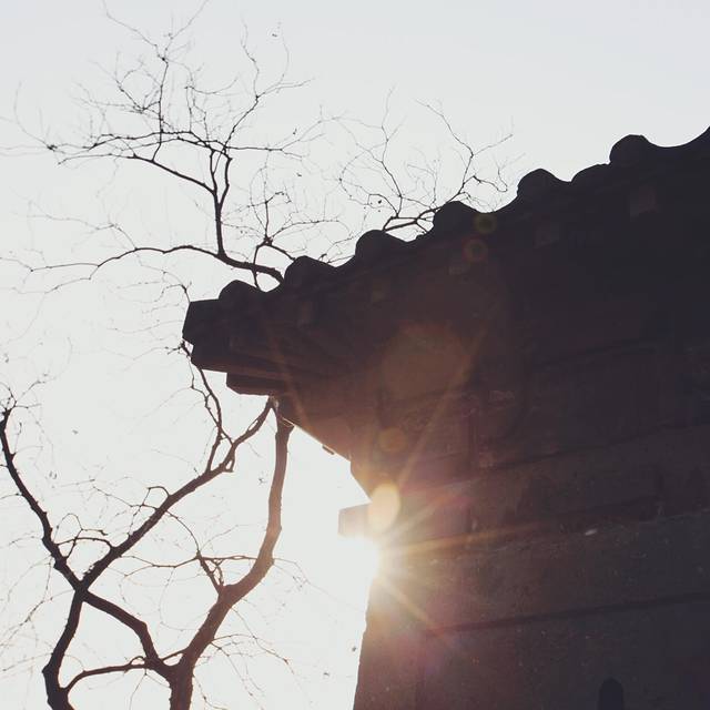 请到我的摄影集里看看--杭州