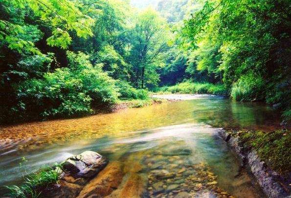 朱家山国家森林公园