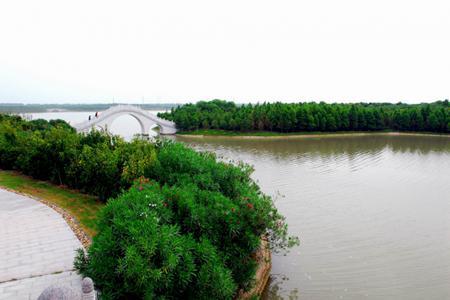 上海海湾国家森林公园