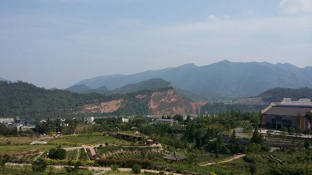 兄弟友谊藏茶(G318(旧)店)