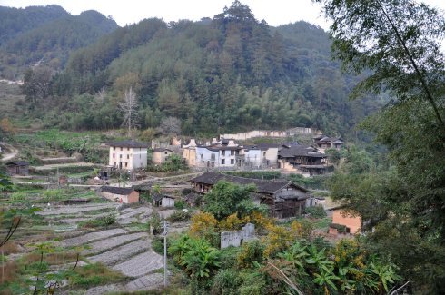 福建雄江黄楮林国家级自然保护区