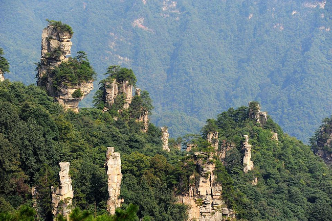 搭乘环保车前往天子山的神堂湾,点将台,贺龙公园,西海石林,天女散花