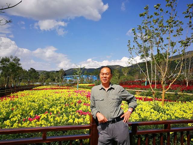 土楼南靖景区塔下景点