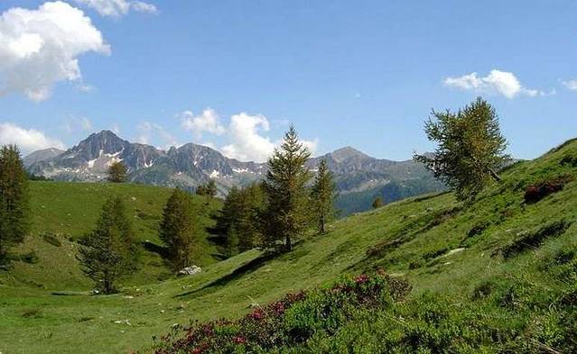 梅康图尔国家公园