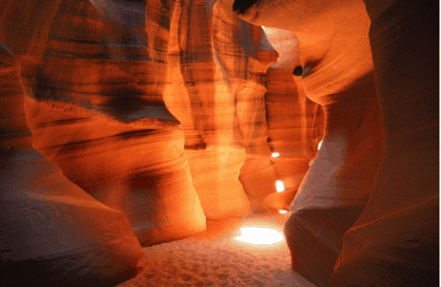 羚羊谷加州罂粟保护区