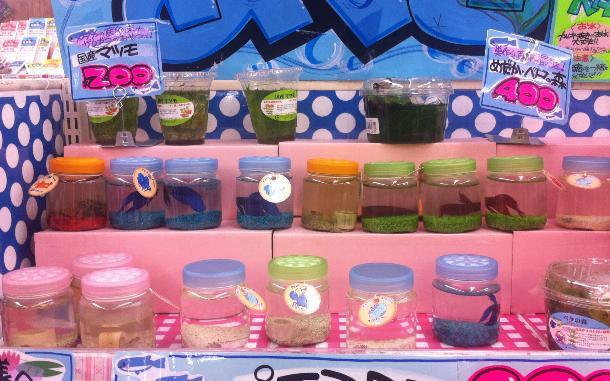 ダイエー・上矶店