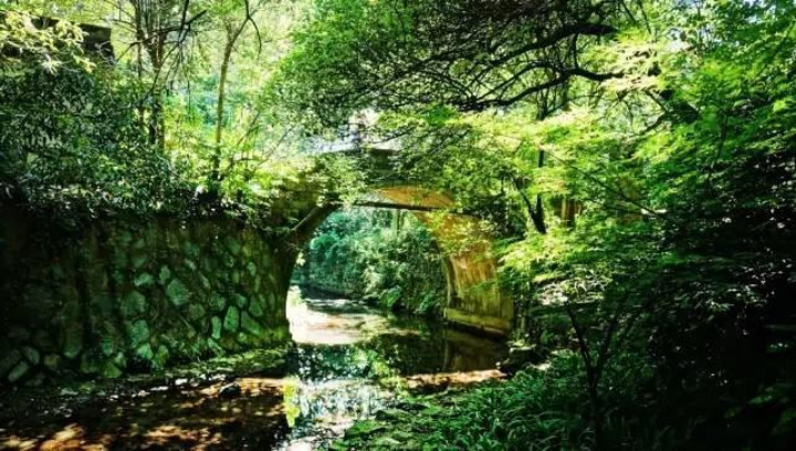 颜亚南希望眷舍的客人们,能够从都市回归小乔流水,重拾小时候邻里亲密