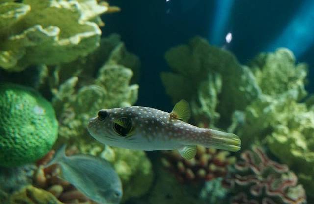 罗源湾海洋世界